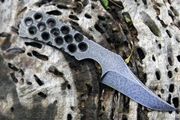 Damascus Falcon 064.jpg