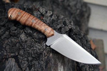 curly maple 007.jpg