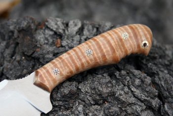 curly maple 004.jpg