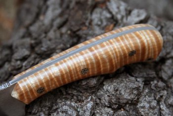 curly maple 017.jpg