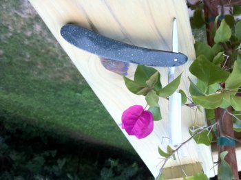 IMG_0740.jpg