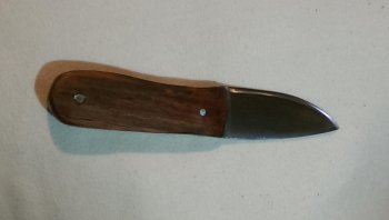 IMAG0178.jpg