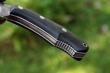Hawk 077.jpg