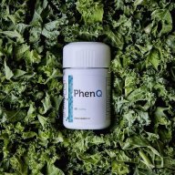 phenqmexico